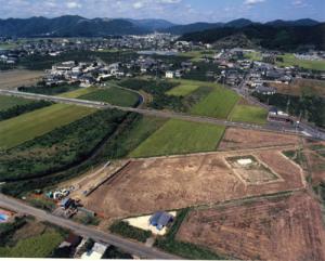 発掘区の全景の様子