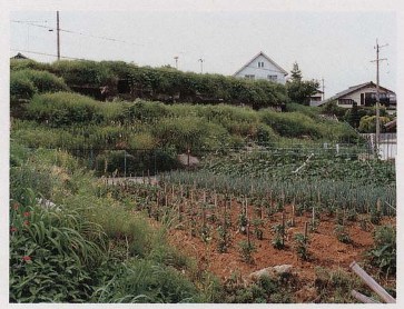 大森皿屋敷横穴