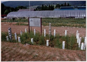 野尻遺跡