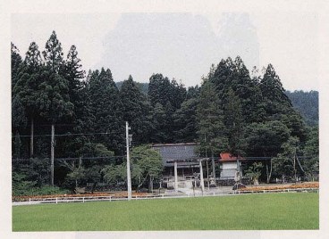 津島神社社叢