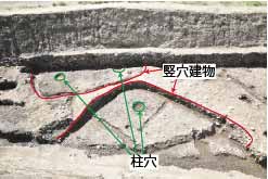 A区の南部で確認した竪穴建物の写真です