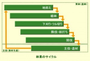 林業サイクル