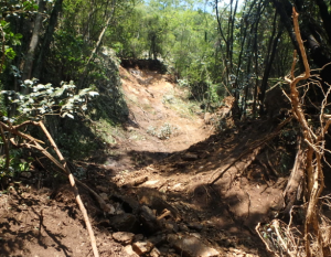 （崩壊斜面）施工前