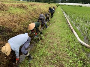 水路の泥上げ