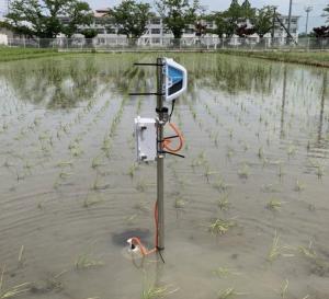 水田センサー