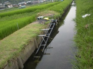 水田魚道その後の状況