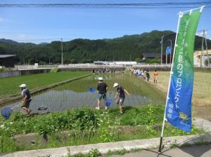 R3田んぼの学校（生き物調査）