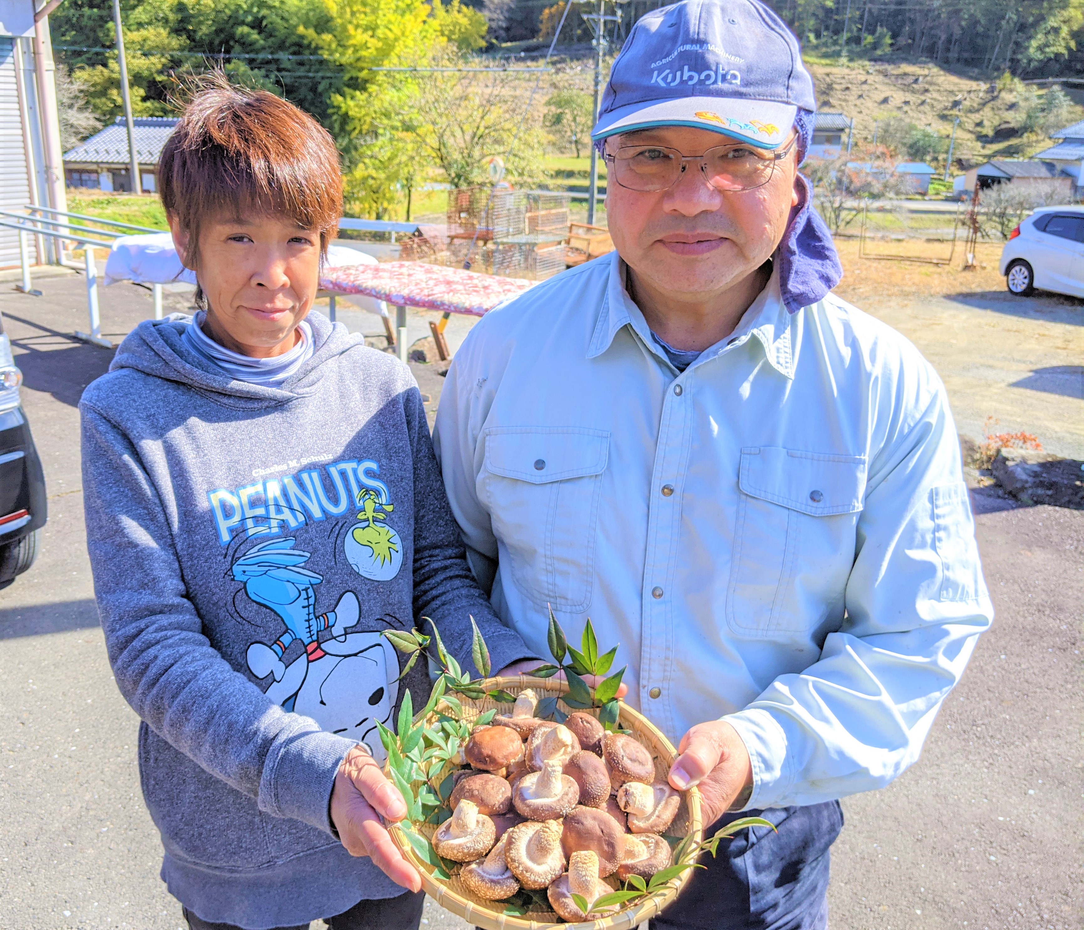 藤井栽培写真