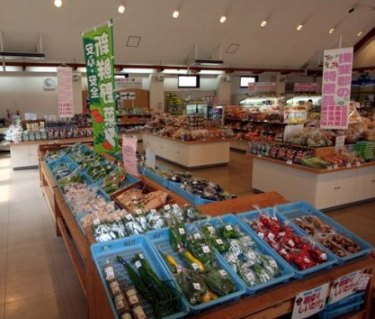 道の駅「星のふる里ふじはし」の画像