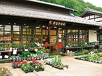 里山公園青空市場の画像