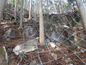 県施工のロープ伏工（林内を望む）
