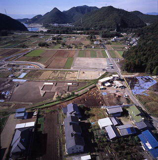 調査区近景