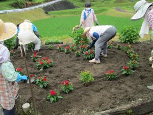 多面的機能支払交付金活動  （花植え）