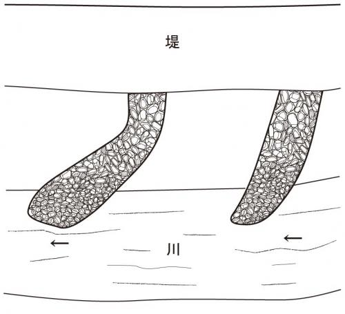 猿尾の模式図です。