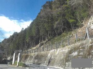 危険木の除去_恵那市上矢作町