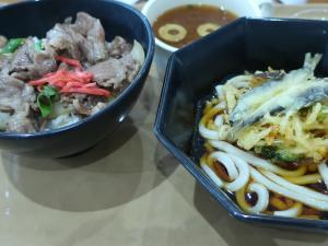 飛騨牛牛丼　稚鮎かき揚げうどん