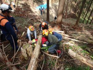 林業労働災害レスキュー訓練