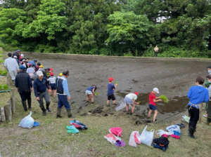  田植えの様子