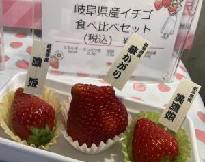 岐阜県産いちご食べ比べセット