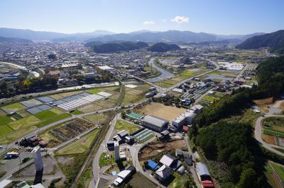 発掘区の遠景写真です