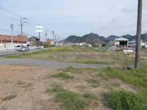 芥見町屋遺跡の調査前発掘区Ａ地点の近景写真です