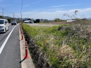 改田遺跡の調査前発掘区全景の写真です