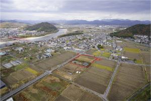 今年度発掘区の調査前風景です