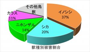 R5獣種別