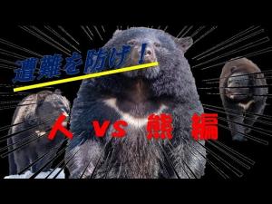 熊出没！対策！