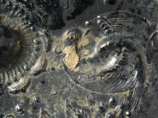 鏡背面付着楮紙