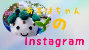 あすはちゃんInstagramリンク