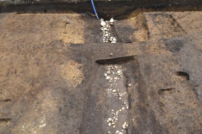 溝(SD11)の全景写真です