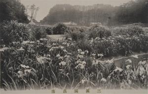 三溪園絵はがき6