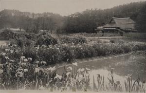 三溪園絵はがき8