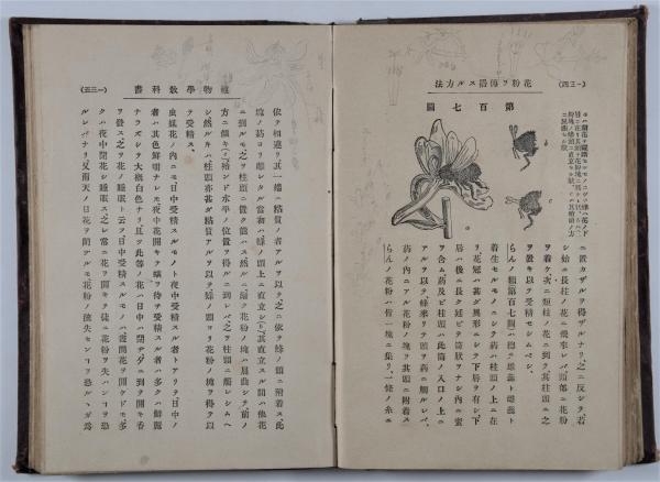 植物学教科書本文