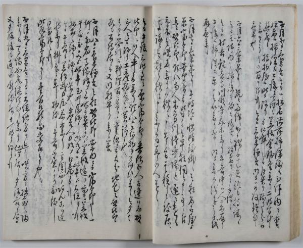 明治二十九年公私日誌