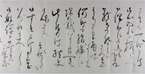 「桜ばえ」など恵送につき礼状