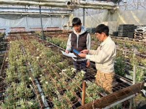 天敵実証ほ調査