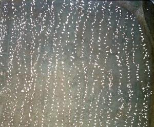 今宿遺跡の足跡列です。