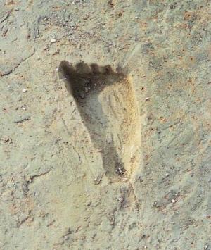 今宿遺跡の足跡の近景です。