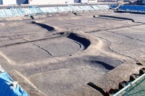 今宿遺跡の水田の近景です。