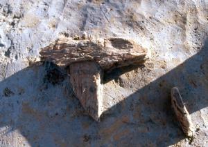 今宿遺跡の鳥形木製品の近景です。