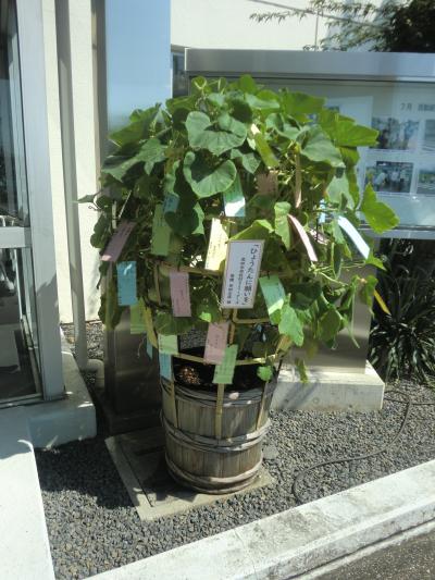 ひょうたんに短冊