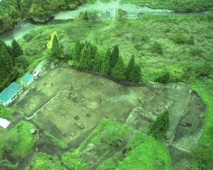 発掘区の全景写真です