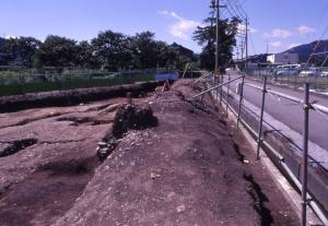 盛土状遺構を間近から撮影した写真です