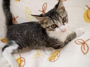 ふっくんの写真