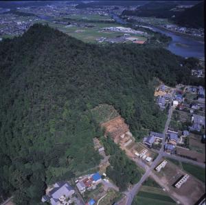 発掘区の近景です。