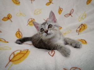 くらっぷの写真