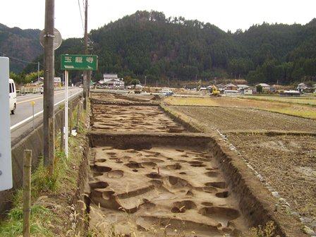 平成20年度発掘区を北から撮影した写真