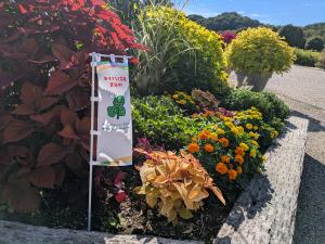 おもてなし花壇イメージ